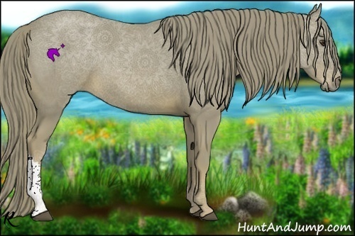 Horse Color:Watercolor Chestnut 