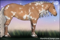 Horse Color:White Spotted Chocolate Silver Buckskin