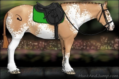 Horse Color:White Spotted Gold Champagne 