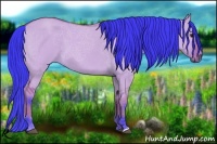 Horse Color:Watercolor Bay Dun 