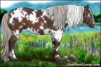 Horse Color:White Spotted Silver Brown 