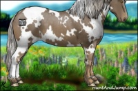 Horse Color:White Spotted Chocolate Palomino