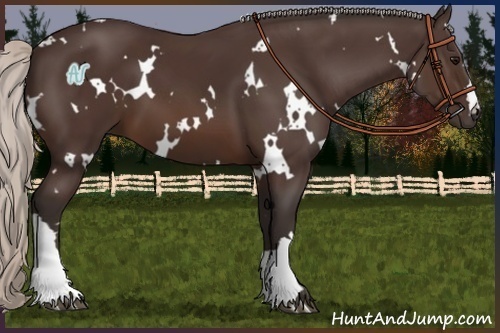 Horse Color:White Spotted Silver Brown 
