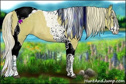 Horse Color:Watercolor Palomino Splash Tobiano 