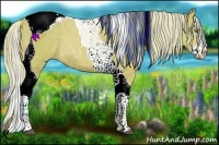 Horse Color:Watercolor Palomino Splash Tobiano