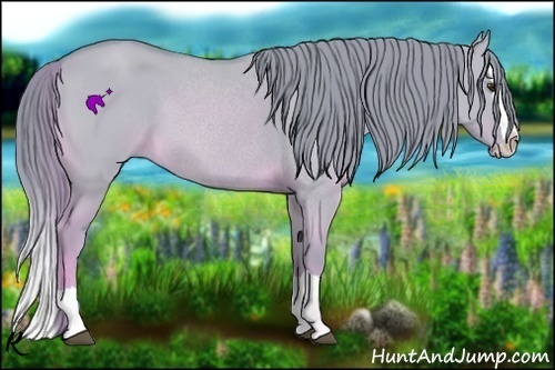 Horse Color:Watercolor Red Dun Splash 