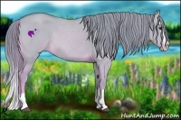 Horse Color:Watercolor Red Dun Splash 