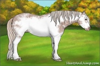 Horse Color:Silver Brown Ice Roan Sabino Splash Frame Varnish