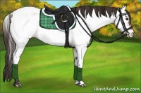 Horse Color:Bay Roan Appaloosa 