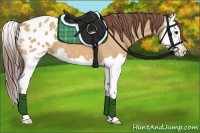 Horse Color:Bay Dun Splash Appaloosa 