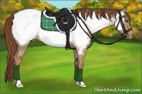 Horse Color:Red Dun Snowcap 