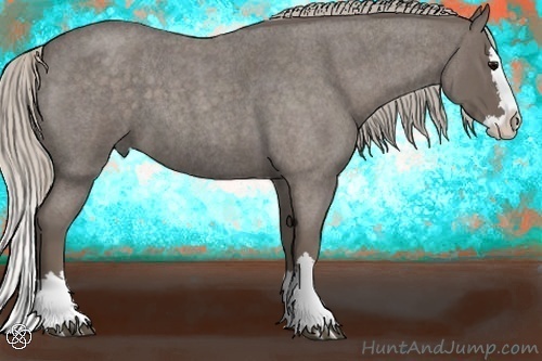 Horse Color:Silver Blue Roan Splash 