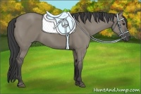 Horse Color:Smoky Grullo Sabino Rabicano