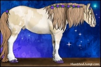 Horse Color:White Spotted Liver Red Dun Pearl Sabino  and White Spotted Gold Champagne Pearl Dun Sabino 
