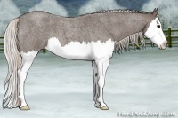 Horse Color:Silver Blue Roan Splash