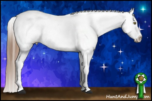 Horse Color:Chocolate Black Mushroom Appaloosa 