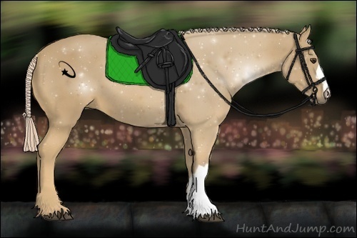 Horse Color:Palomino 