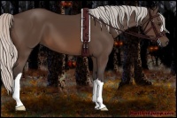 Horse Color:Silver Brown 