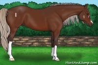 Horse Color:Silver Brown