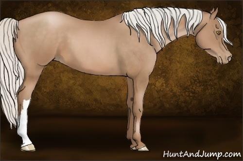 Horse Color:Silver Brown Pearl