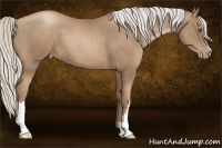 Horse Color:Silver Black Pearl