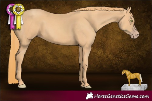 Horse Color:Gold Champagne