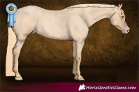 Horse Color:Gold Champagne Roan 