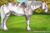 Horse Color:White Spotted Chocolate Silver Blue Onyx Chinchilla 