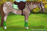 Horse Color:Chestnut Ice 