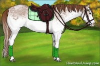 Horse Color:White Spotted Chestnut Ice Splash 