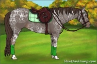 Horse Color:Liver Chestnut Ice 