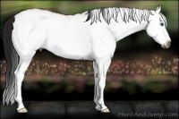 Horse Color:Gray White Spotted Bay Ice Splash