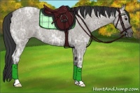 Horse Color:Grullo Ice Roan 
