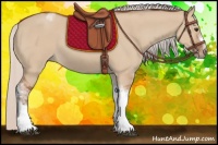 Horse Color:Silver Bay Dun Sabino Tobiano Frame Rabicano 