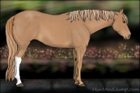 Horse Color:Red Roan 