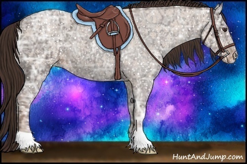 Horse Color:Liver Red Ice Roan Appaloosa 