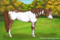 Horse Color:Chestnut Frame