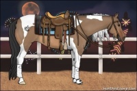 Horse Color:Bay Dun Tobiano 