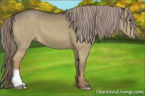 Horse Color:Chocolate Palomino Dun 