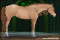 Horse Color:Bay Pearl 