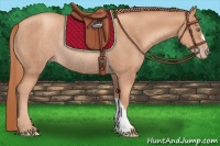 Horse Color:Gold Champagne Rabicano
