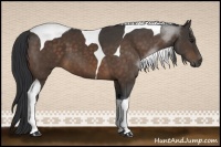 Horse Color:Brown Sabino Tobiano