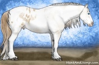 Horse Color:White Spotted Grullo Pearl Splash Tobiano Frame Appaloosa 