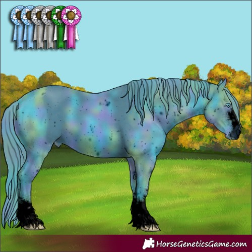 Horse Color:ERROR: UNKNOWN ANOMALY