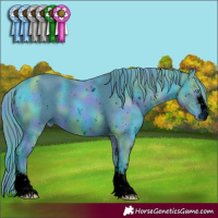 Horse Color:ERROR: UNKNOWN ANOMALY