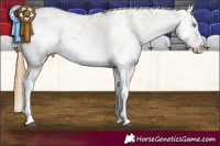 Horse Color:White Spotted Buckskin Splash Snowcap 