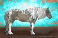 Horse Color:Chocolate Palomino Tobiano