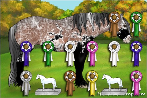 Horse Color:Bay Ice Sabino