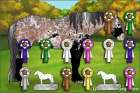 Horse Color:Bay Ice Sabino 