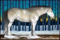 Horse Color:Brown Dun Splash